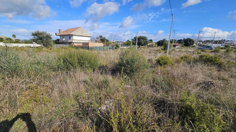 Terreno para Venda em Quinta do Anjo Foto 3