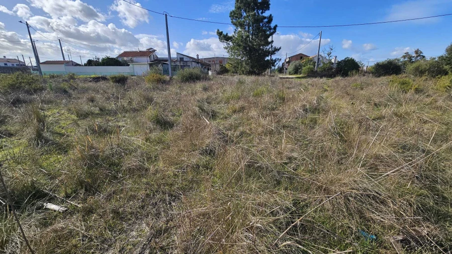 Terreno para Venda em Quinta do Anjo Foto 4