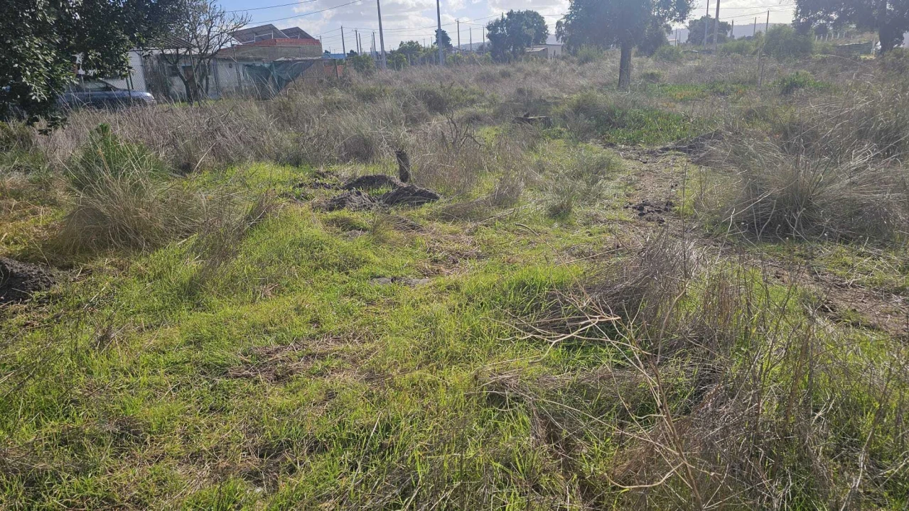Terreno para Venda em Quinta do Anjo Foto 2
