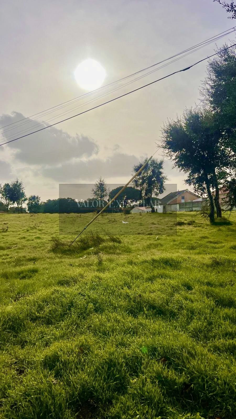 Terreno para Venda em Gambia-Pontes-Alto da Guerra Foto 2