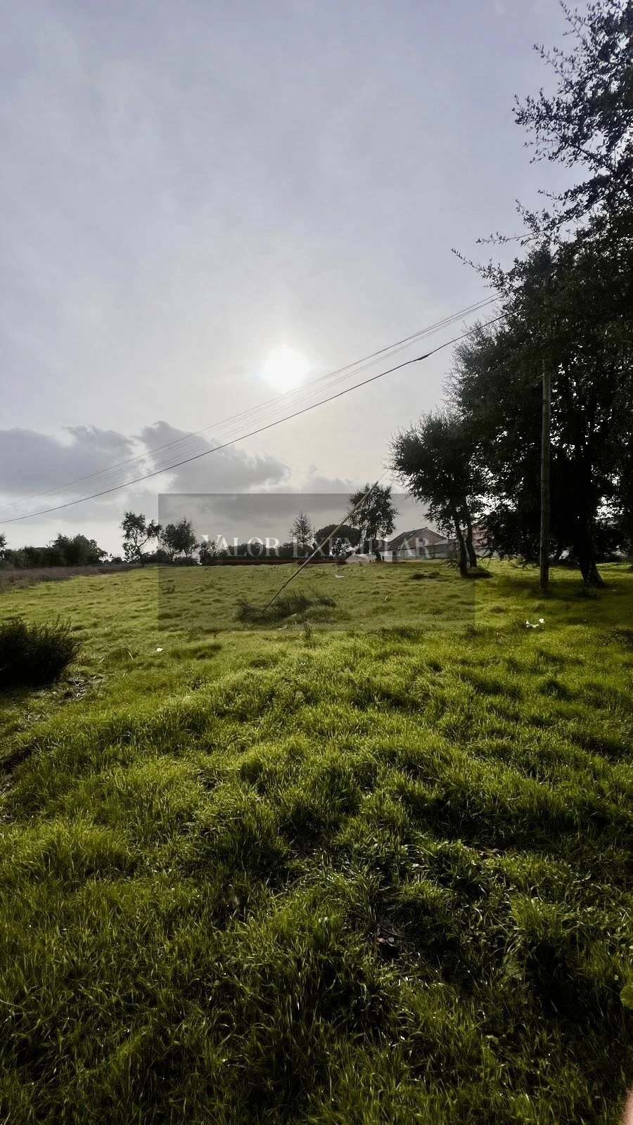 Terreno para Venda em Gambia-Pontes-Alto da Guerra Foto 3