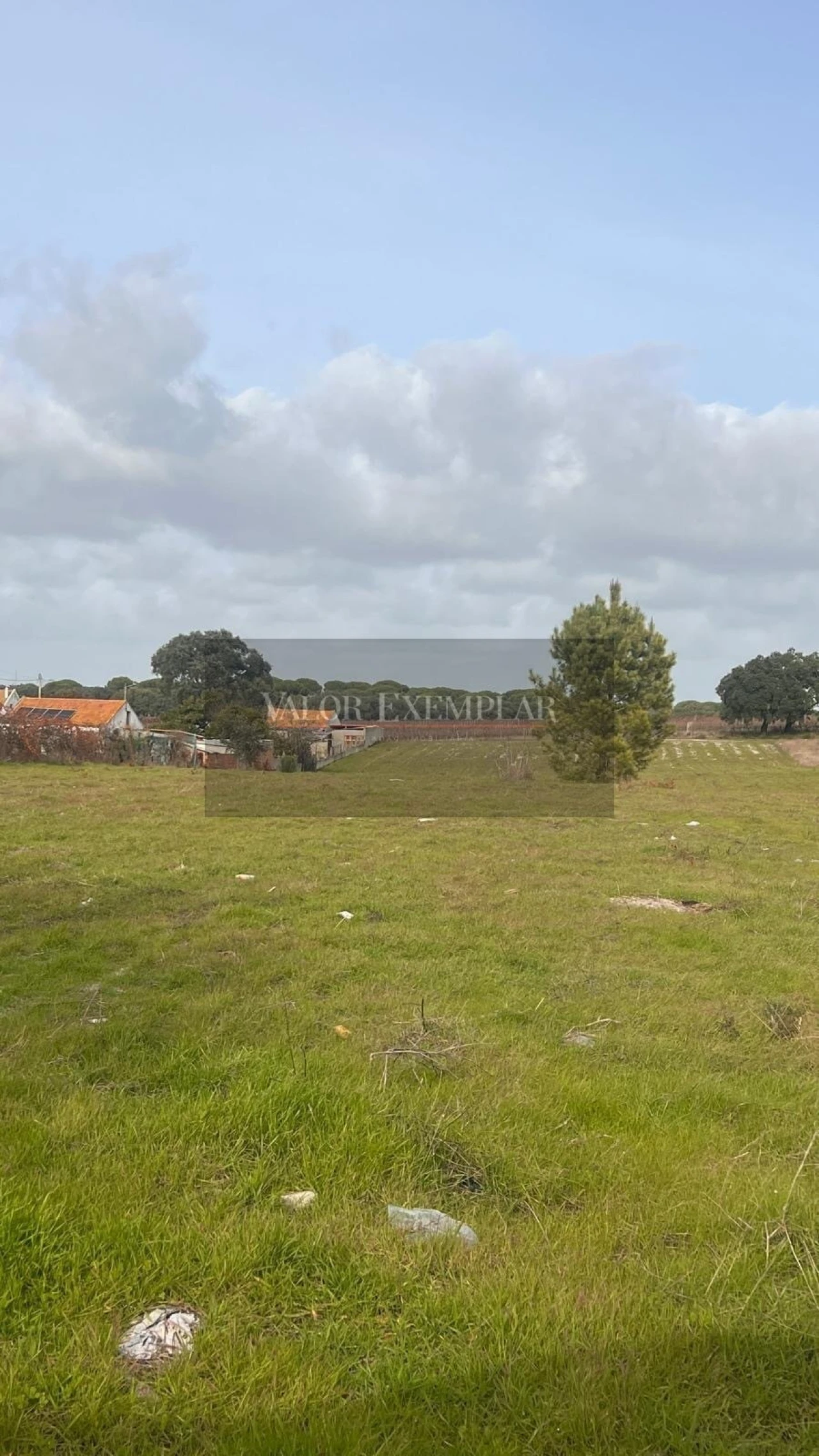 Terreno para Venda em Gambia-Pontes-Alto da Guerra Foto 4