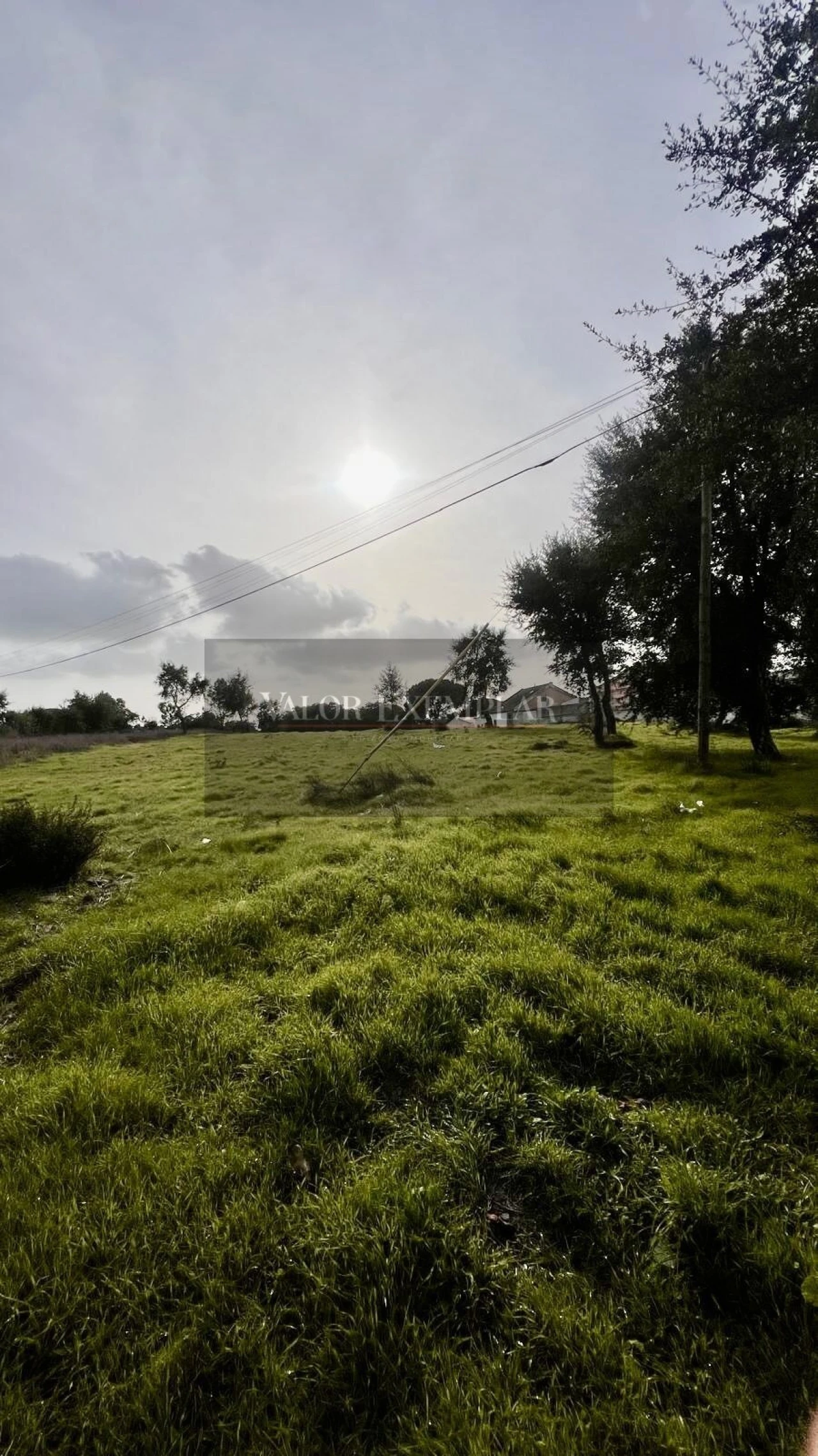 Terreno para Venda em Gambia-Pontes-Alto da Guerra Foto 3