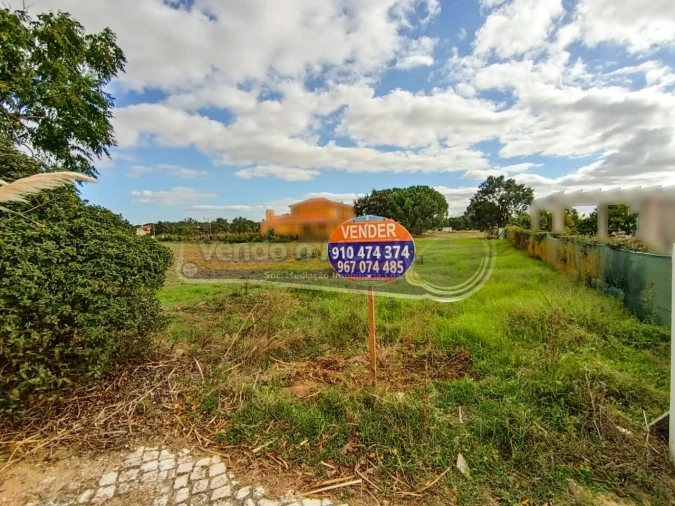 Terreno para Venda em Santo Estêvão Foto 4