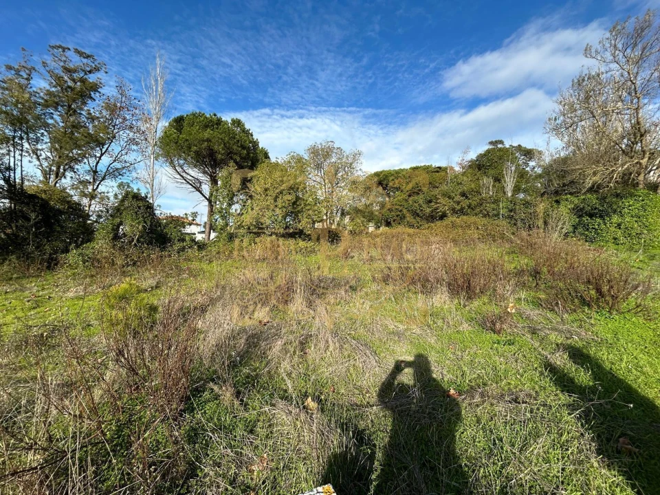 Terreno para Venda em Sesimbra (Castelo) Foto 11