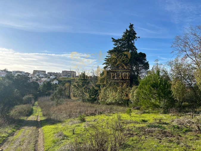 Terreno para Venda em Sesimbra (Castelo) Foto 3