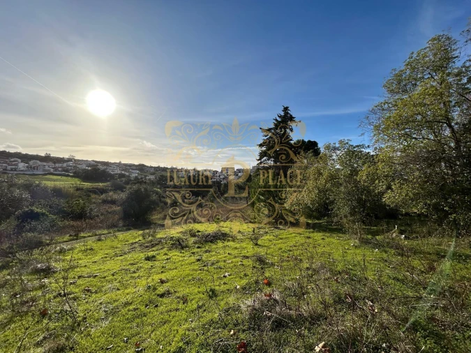 Terreno para Venda em Sesimbra (Castelo) Foto 13
