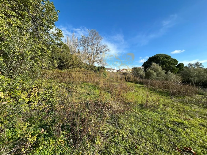 Terreno para Venda em Sesimbra (Castelo) Foto 7