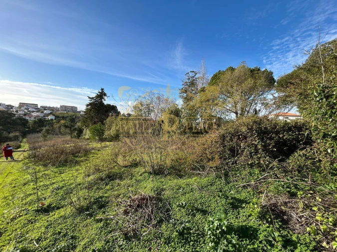 Terreno para Venda em Sesimbra (Castelo) Foto 6