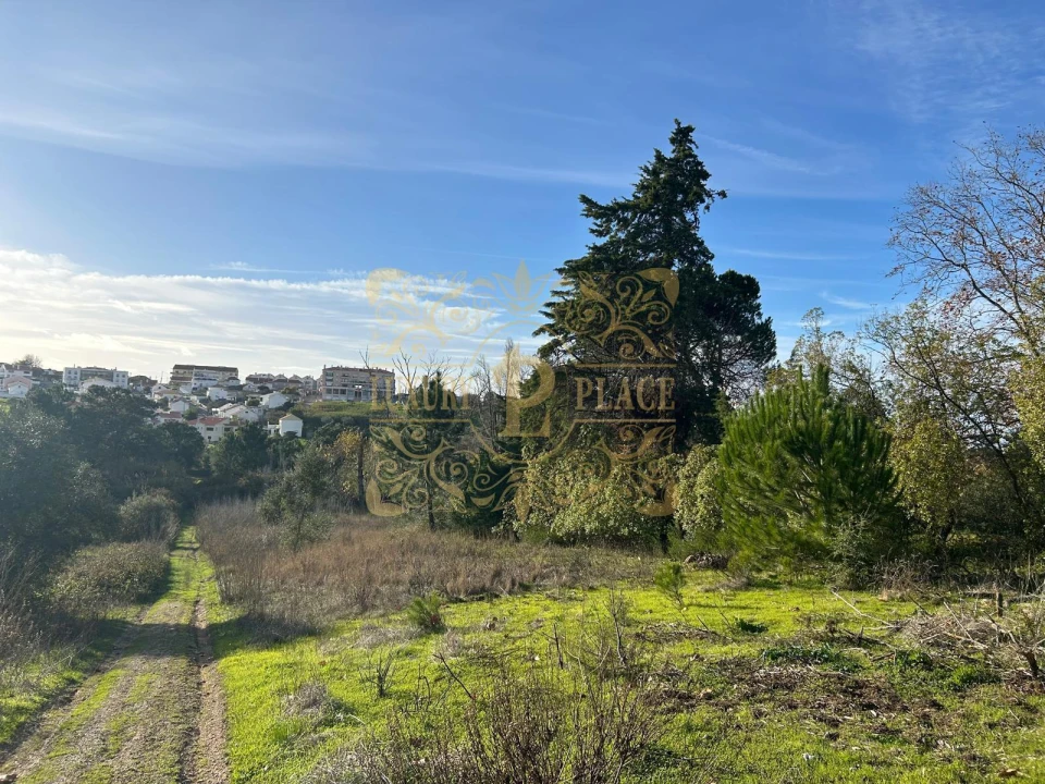 Terreno para Venda em Sesimbra (Castelo) Foto 3
