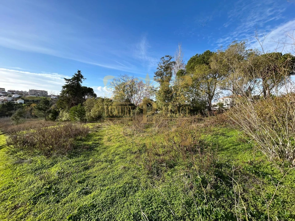 Terreno para Venda em Sesimbra (Castelo) Foto 10