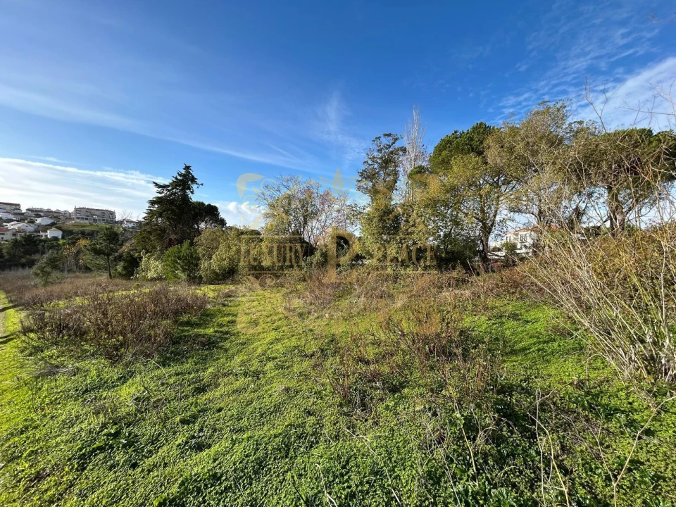 Terreno para Venda em Sesimbra (Castelo) Foto 9
