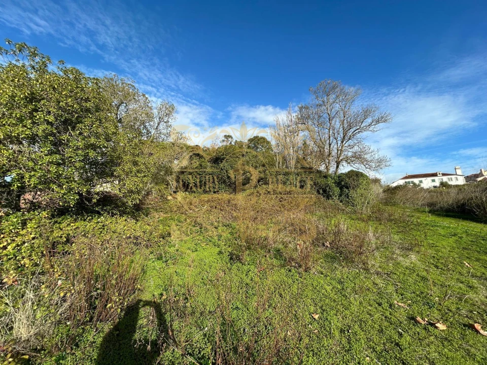 Terreno para Venda em Sesimbra (Castelo) Foto 5