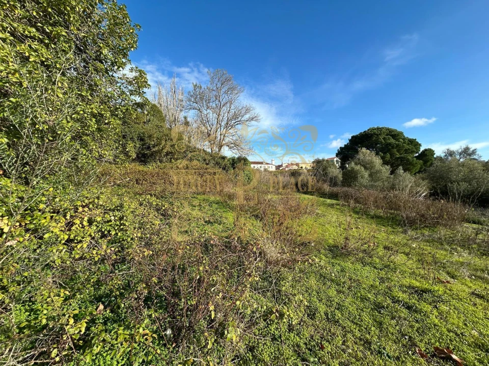 Terreno para Venda em Sesimbra (Castelo) Foto 7