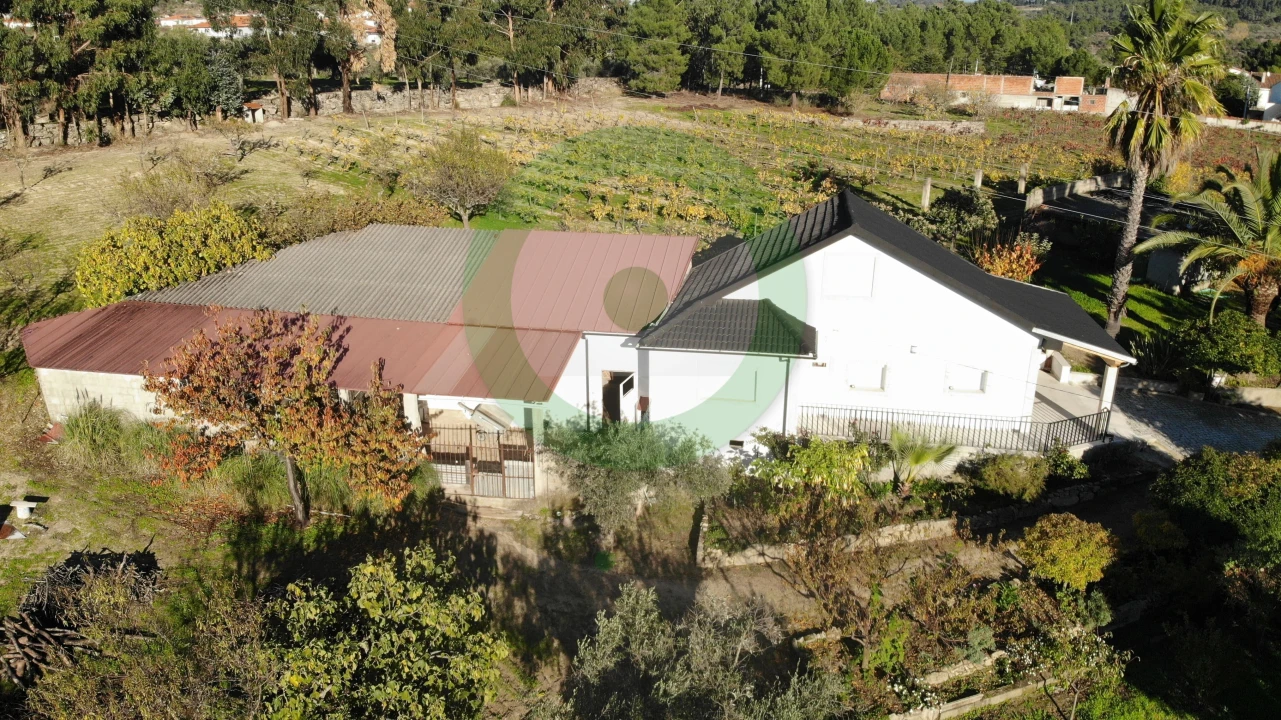 Moradia T4 para Venda em Valpaços e Sanfins Foto 10