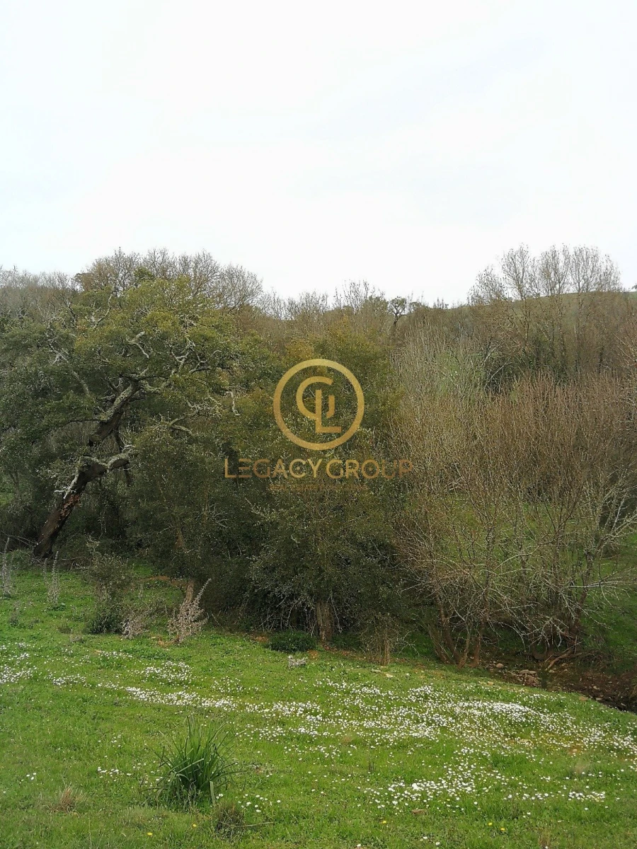 Quinta T3 para Venda em Boavista dos Pinheiros Foto 11