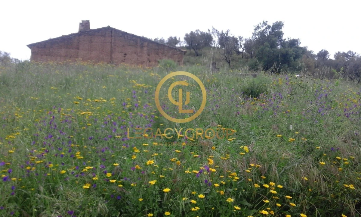 Quinta T3 para Venda em Boavista dos Pinheiros Foto 7