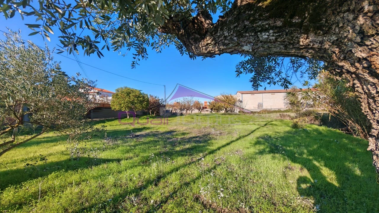 Terreno Misto para Venda em Paialvo Foto 2