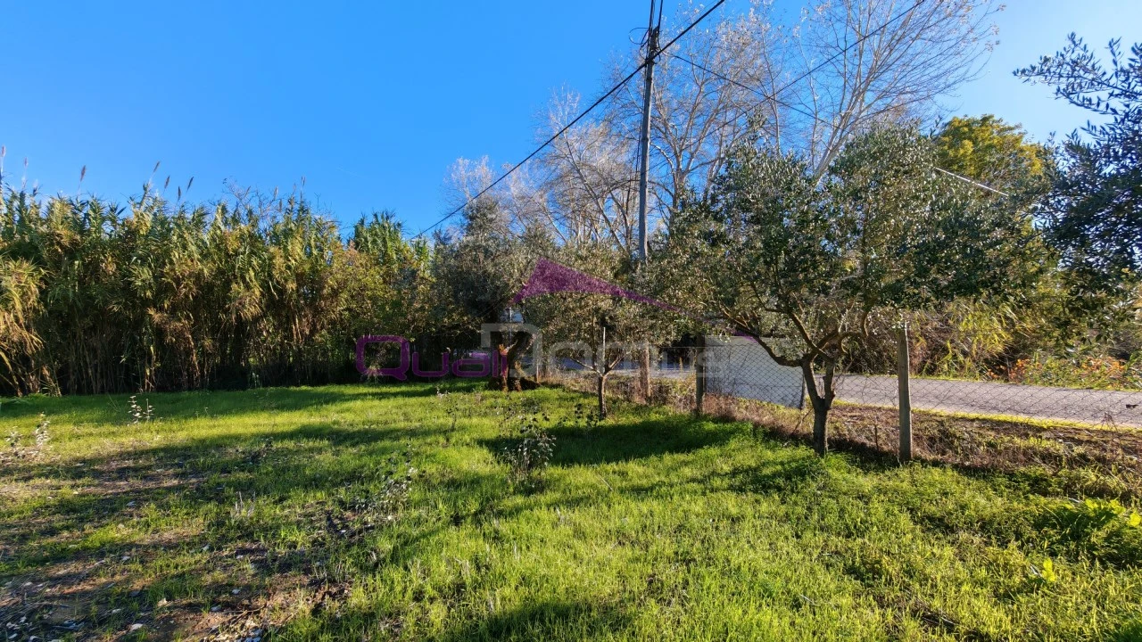 Terreno Misto para Venda em Paialvo Foto 4
