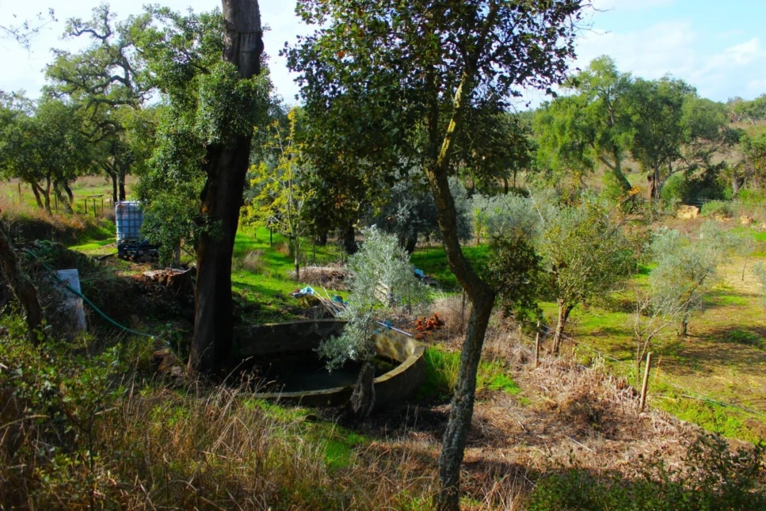 Terreno para Venda em Grândola e Santa Margarida da Serra Foto 8