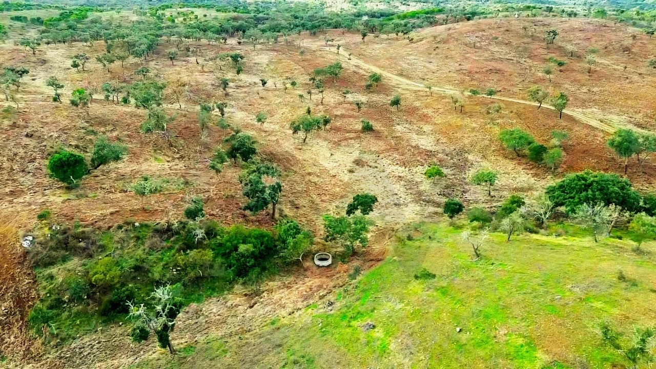 Terreno para Venda em Grândola e Santa Margarida da Serra Foto 22