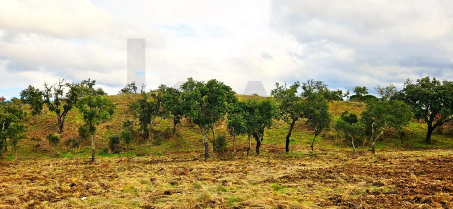 Terreno para Venda em Grândola e Santa Margarida da Serra Foto 28