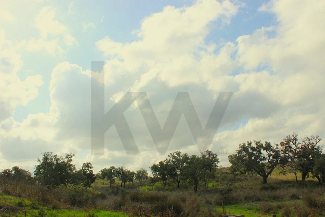 Terreno para Venda em Grândola e Santa Margarida da Serra Foto 34