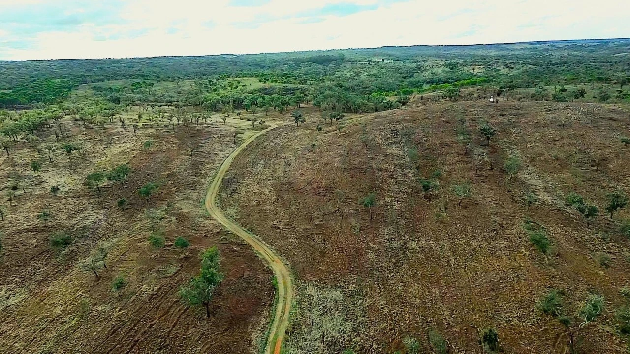 Terreno para Venda em Grândola e Santa Margarida da Serra Foto 38