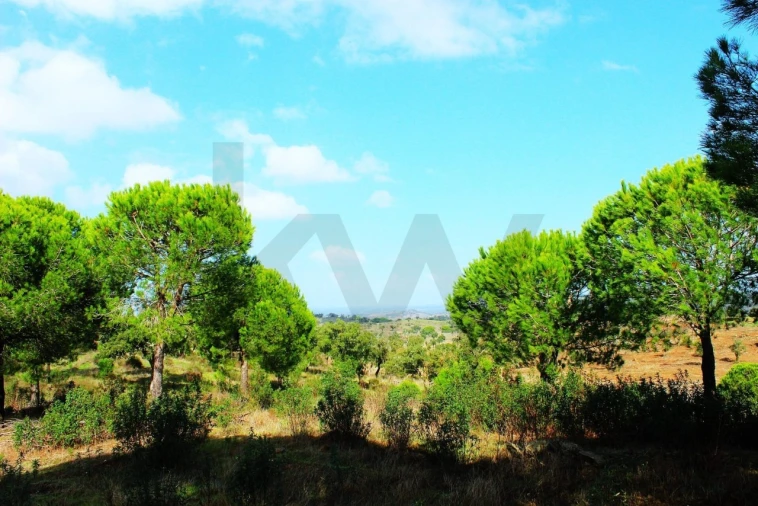 Terreno para Venda em Grândola e Santa Margarida da Serra Foto 5