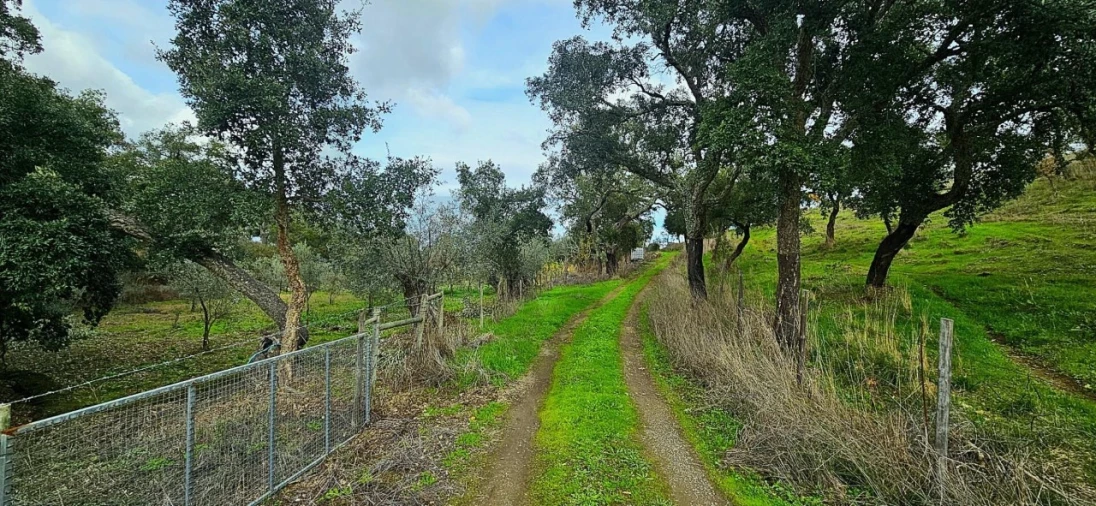 Terreno para Venda em Grândola e Santa Margarida da Serra Foto 10