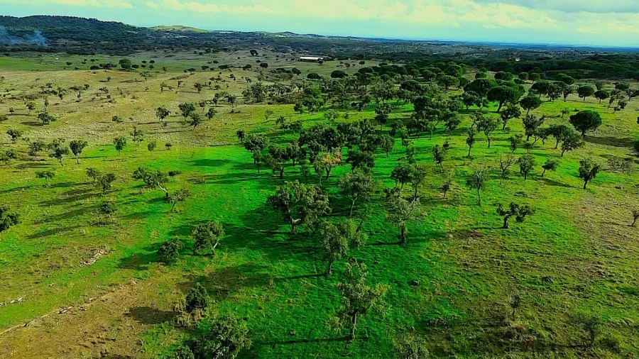 Terreno para Venda em Grândola e Santa Margarida da Serra Foto 23