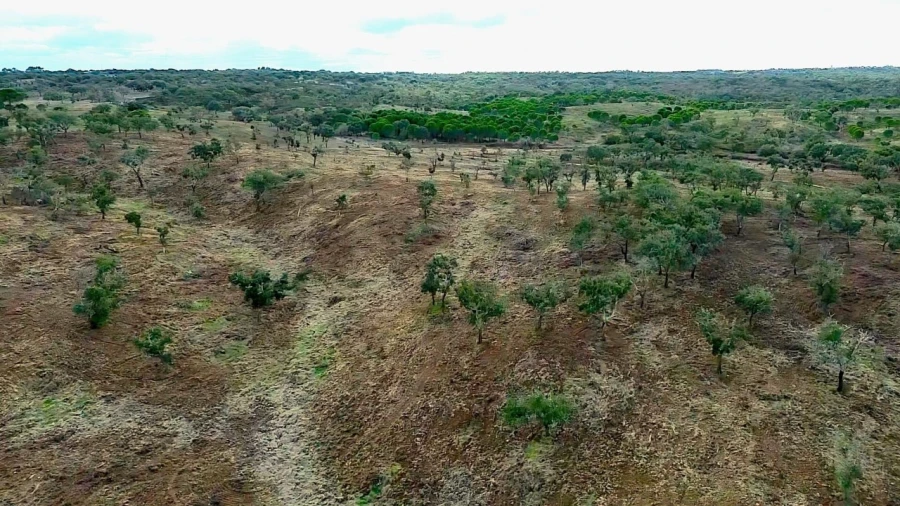 Terreno para Venda em Grândola e Santa Margarida da Serra Foto 35