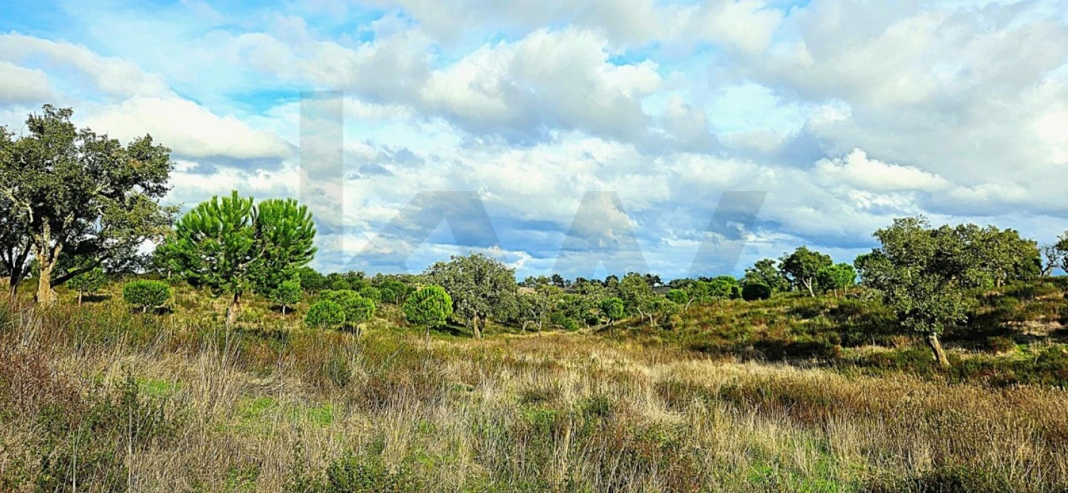 Terreno para Venda em Grândola e Santa Margarida da Serra Foto 2