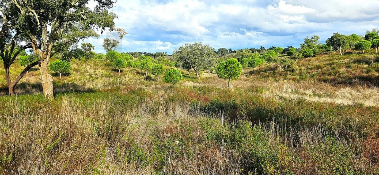 Terreno para Venda em Grândola e Santa Margarida da Serra Foto 3