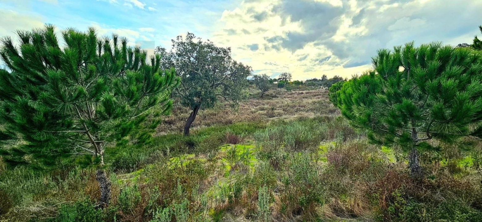 Terreno para Venda em Grândola e Santa Margarida da Serra Foto 8