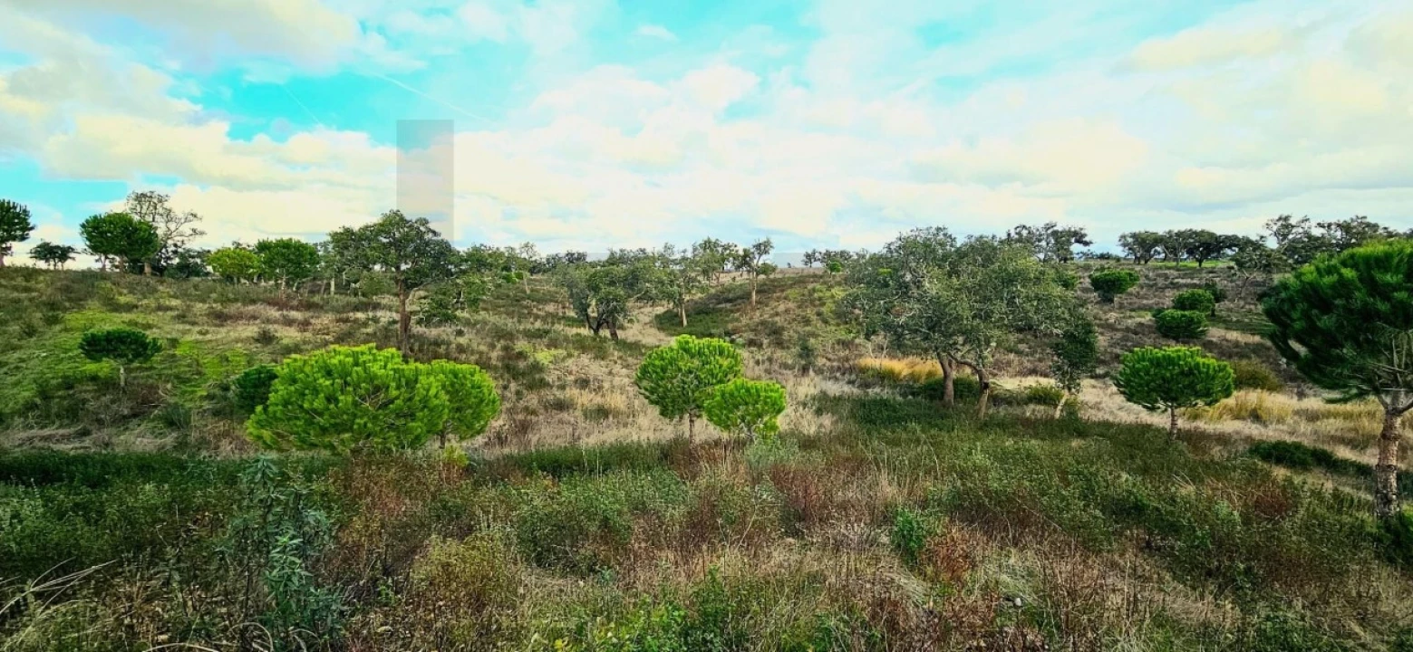Terreno para Venda em Grândola e Santa Margarida da Serra Foto 11