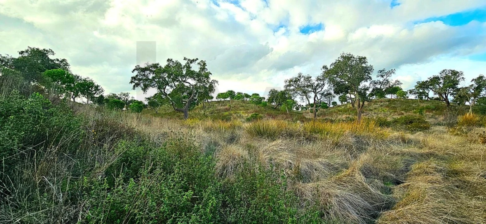 Terreno para Venda em Grândola e Santa Margarida da Serra Foto 16