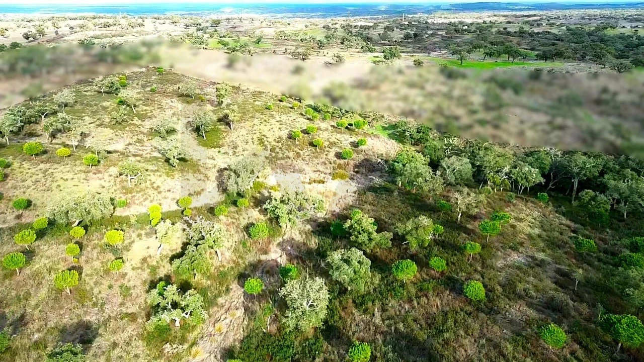 Terreno para Venda em Grândola e Santa Margarida da Serra Foto 25