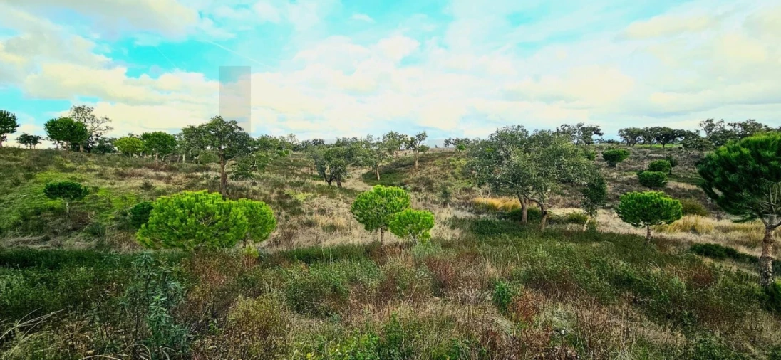 Terreno para Venda em Grândola e Santa Margarida da Serra Foto 11