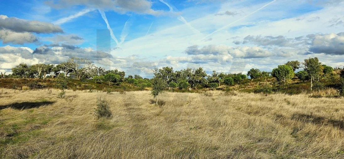 Terreno para Venda em Grândola e Santa Margarida da Serra Foto 19