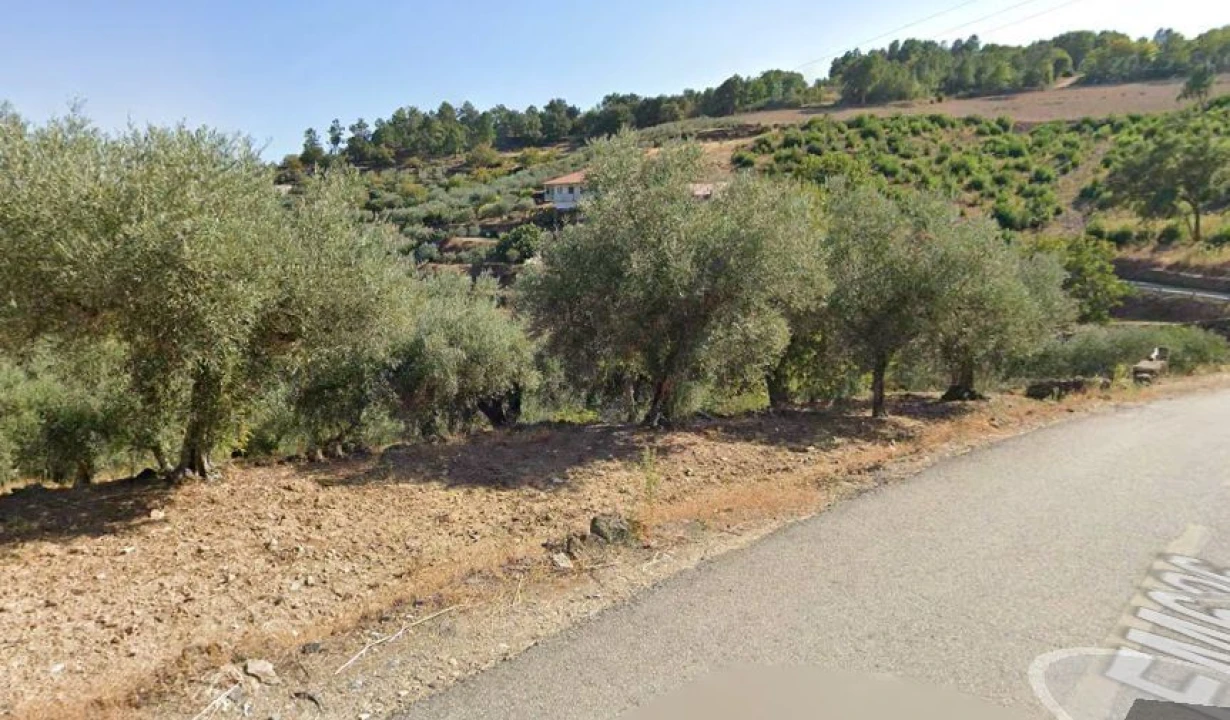 Terreno Agricola ou Rústico para Venda em Valtorno e Mourão Foto 5