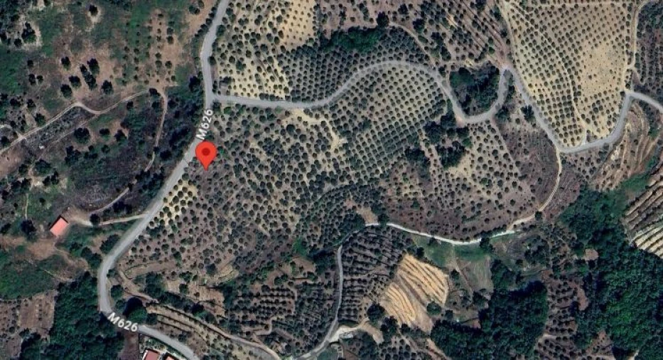 Terreno Agricola ou Rústico para Venda em Valtorno e Mourão Foto 1