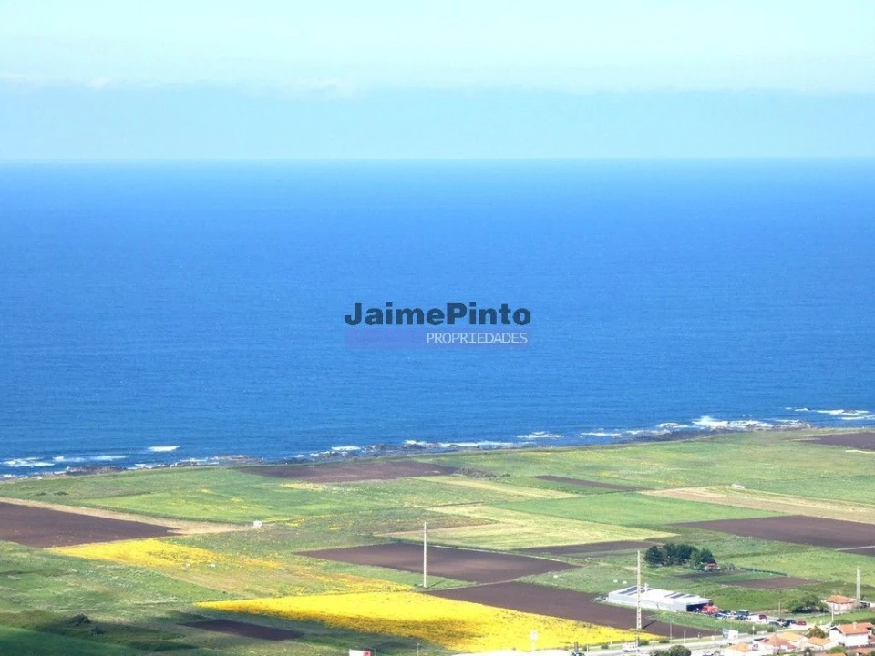 Loja para Venda em Santa Maria Maior e Monserrate e Meadela Foto 2
