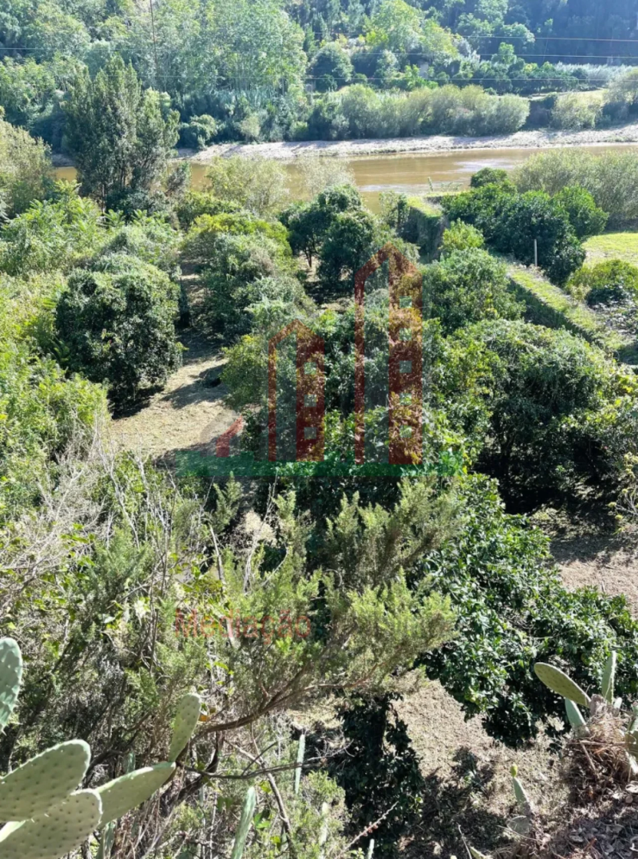 Terreno para Venda em Torres do Mondego Foto 5