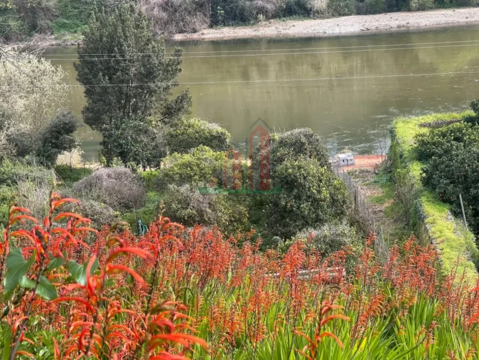 Terreno para Venda em Torres do Mondego