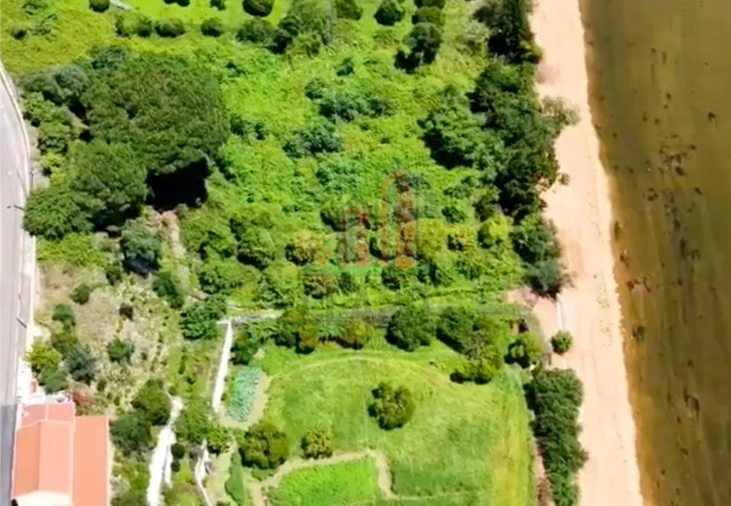 Terreno para Venda em Torres do Mondego Foto 13