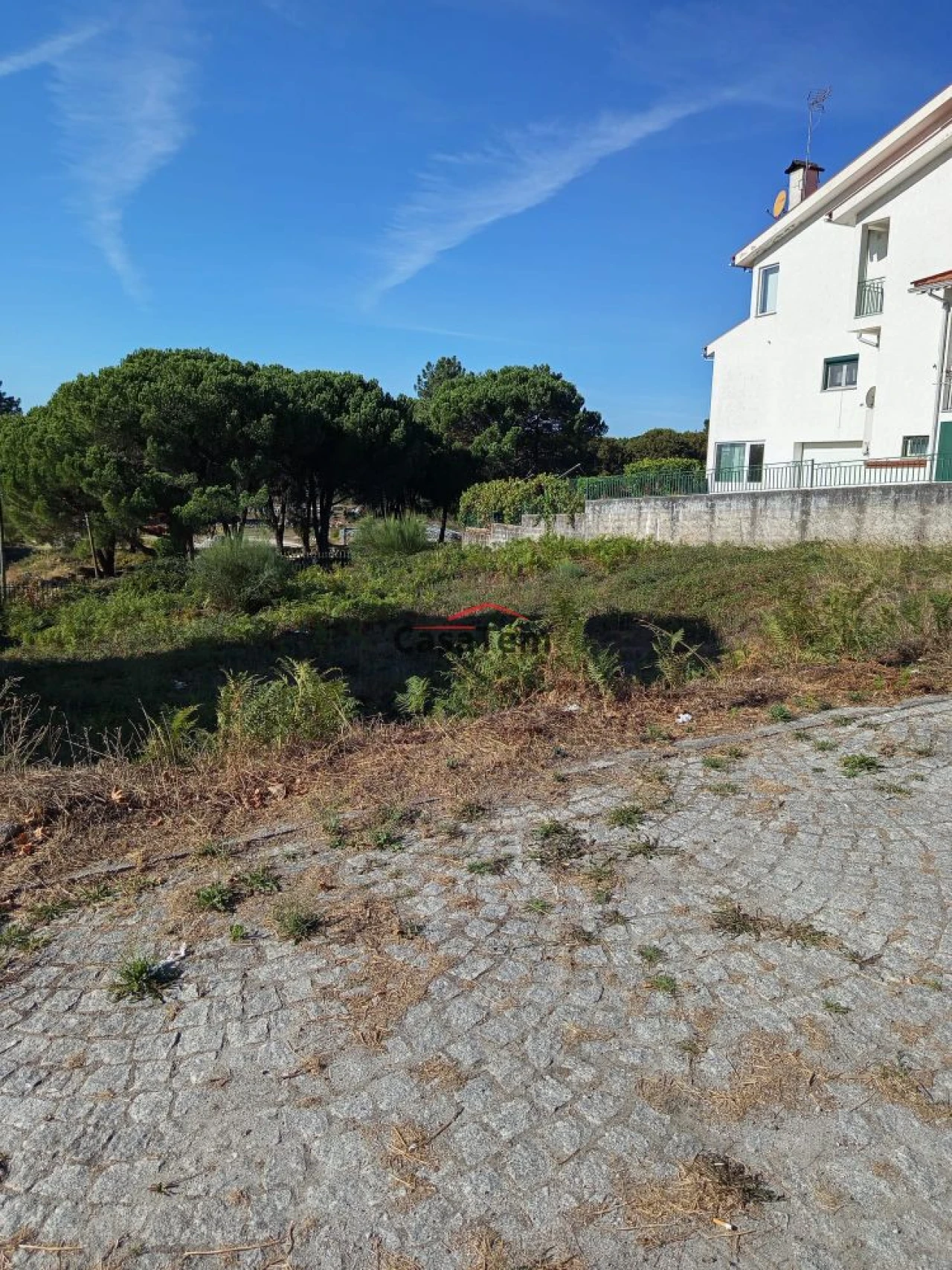 Terreno para Venda em Repeses e São Salvador Foto 3