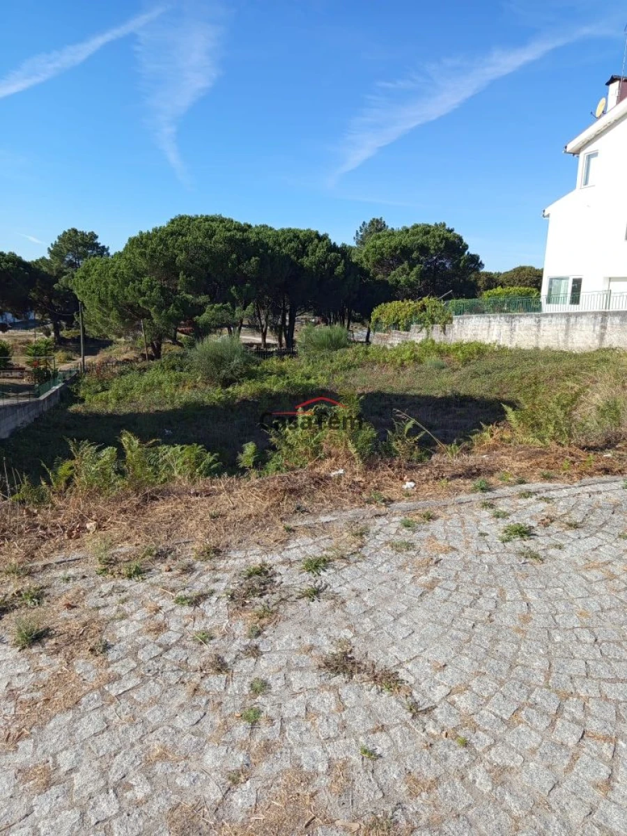 Terreno para Venda em Repeses e São Salvador