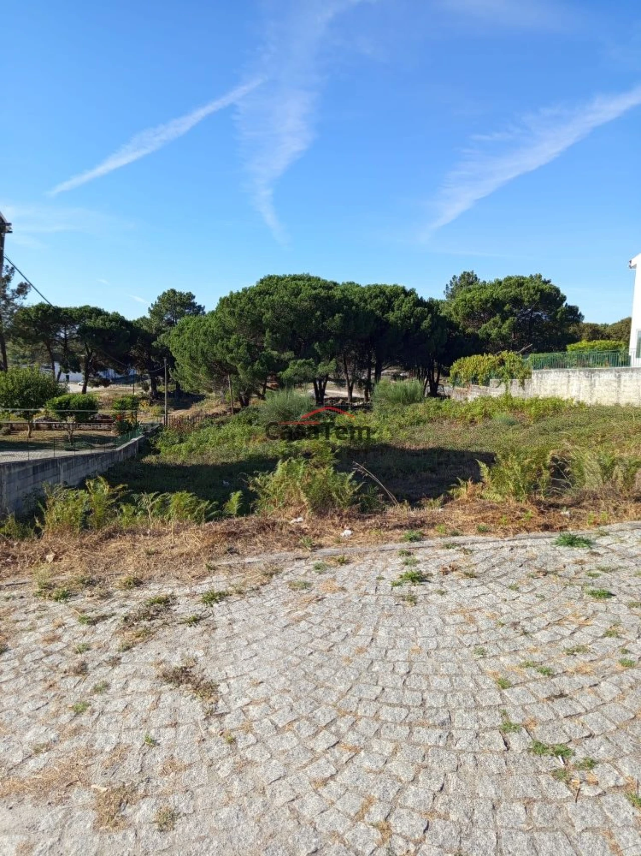 Terreno para Venda em Repeses e São Salvador Foto 5