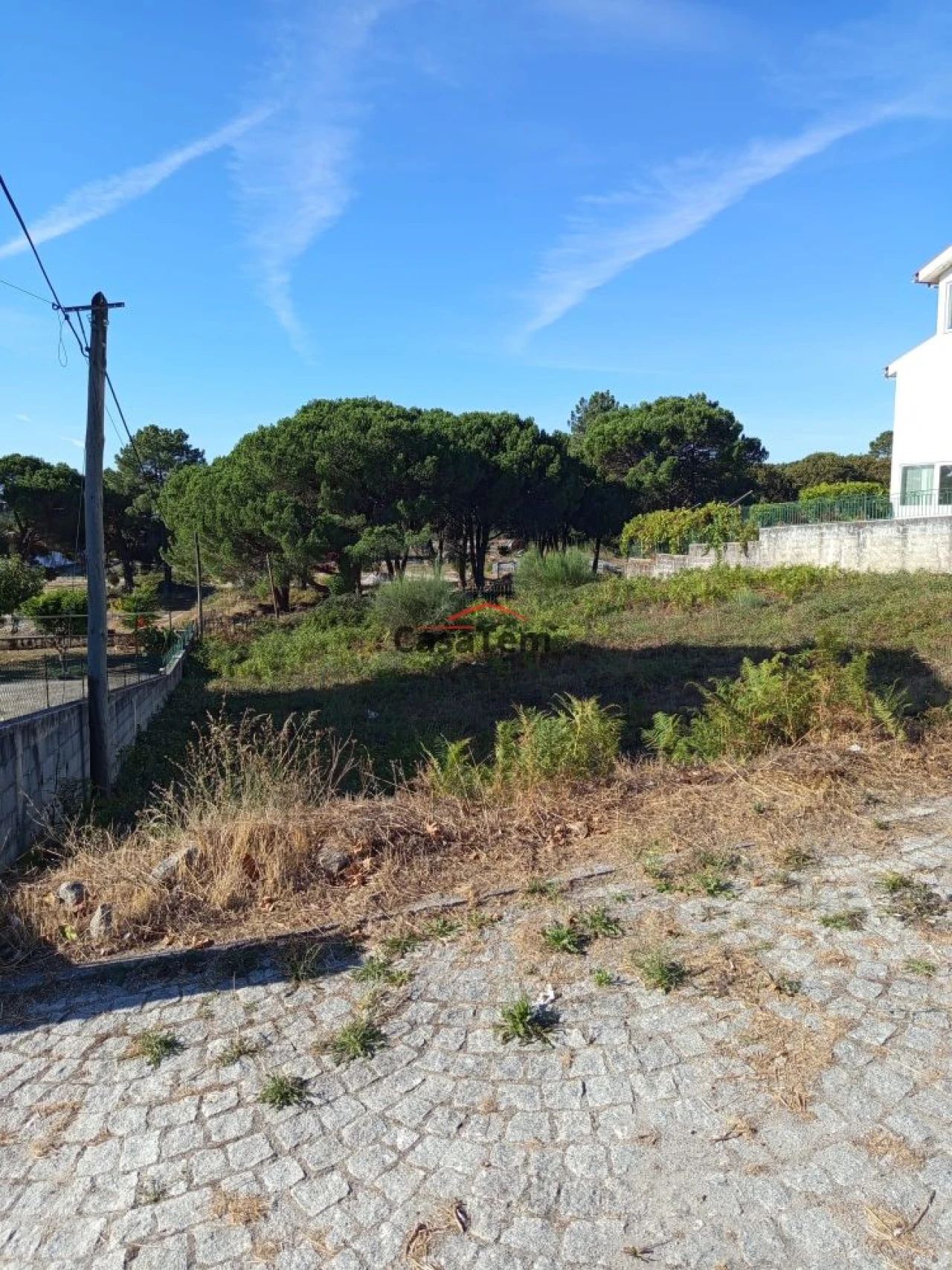 Terreno para Venda em Repeses e São Salvador Foto 4